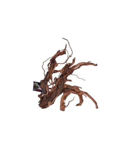 Aquavie curlivigne racine - curlivigne, m