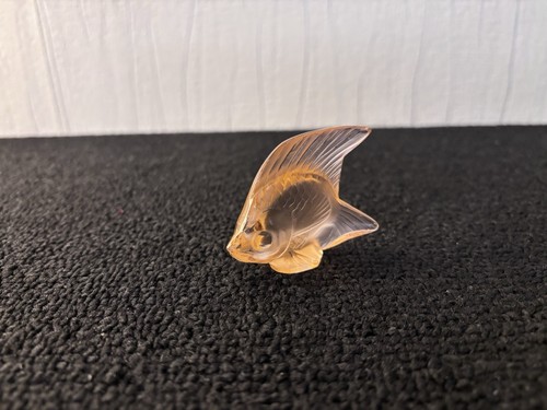 Poisson rose oranger - , en