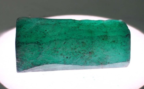 305 naturel vert - ct,