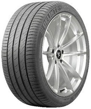 255/55 R18 109W XL Delinte DS2