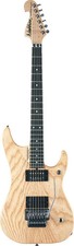 Washburn N4ESANM Nuno