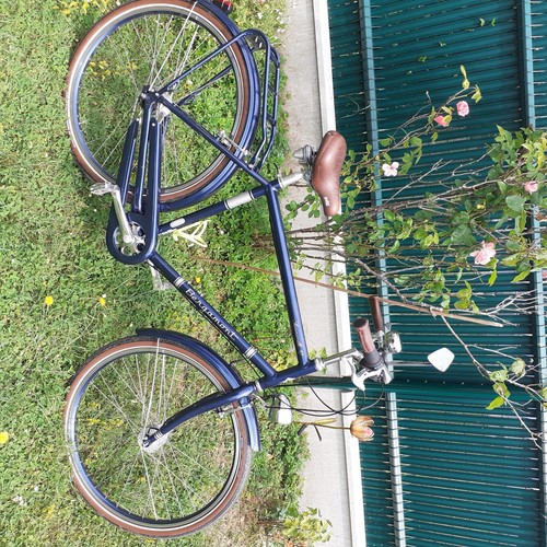Velo ville taille marque - ville,