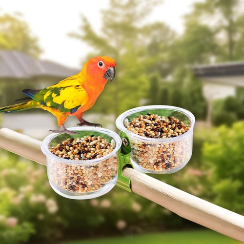 Mangeoires oiseaux avec - à,