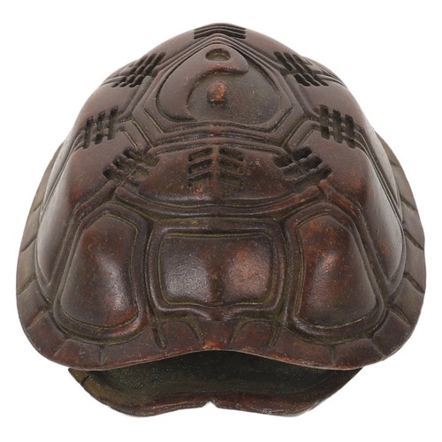 Carapace tortue tai - carapace, de