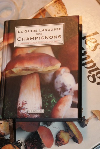 Guide larousse des - le,