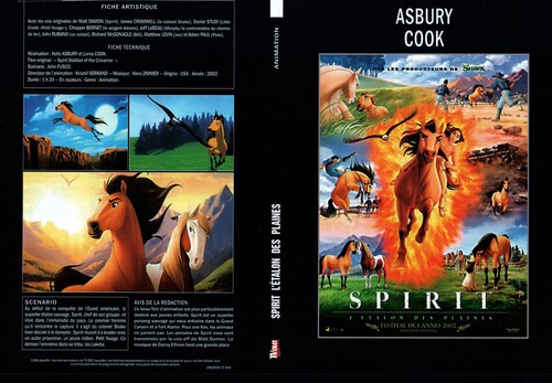 Jaquette dvd spirit - jaquette,