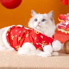 Vêtements pour chiens avec