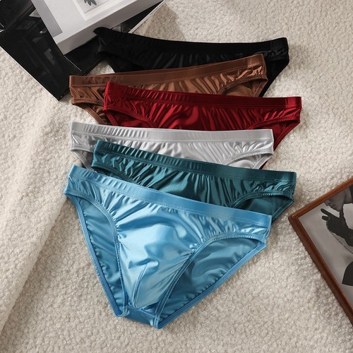Slip homme soie - en,