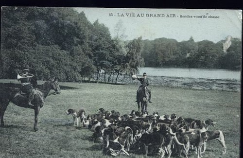 Chasse courre - chasse, a