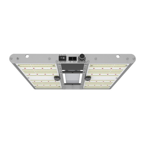 Ortoled quantum board evo - ortoled,