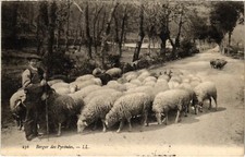 CPA Berger des Pyrénées