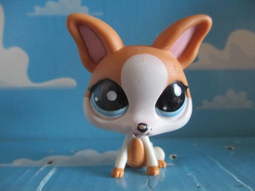 Petshop chien chihuahua - petshop,