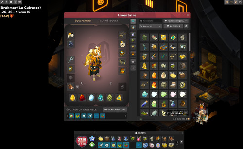 Compte dofus enu 200 - compte,