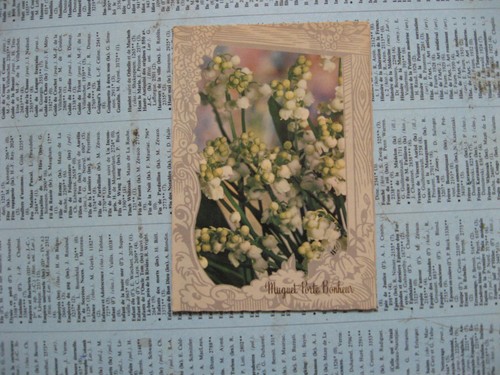 Muguet porte bonheur ecrite - bonheur,