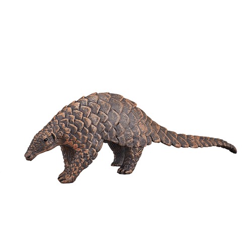 Indian pangolin wild - pangolin,