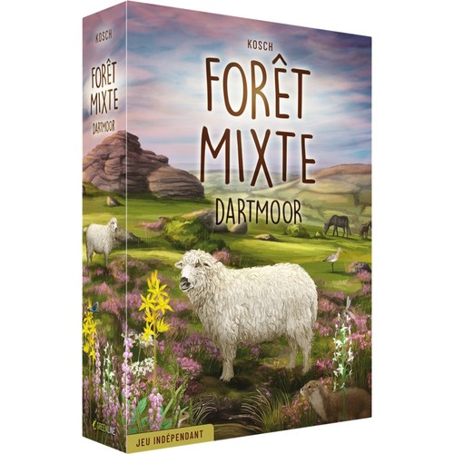 Foret mixte dartmoor - foret,