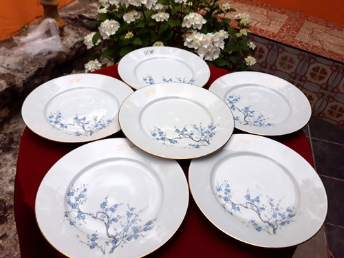 Lot assiettes plates - 6,