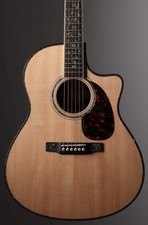 Larrivee LV-10 Deluxe Custom