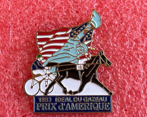 T36 pins ideal gazeau - pins, prix