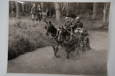 Photo argentique cochers - photo,