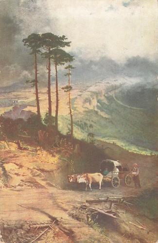 Illustree chariot attelage - cp,