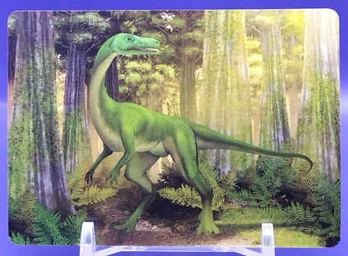 Cartes coelophysis - coelophysis, /