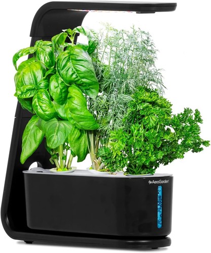 Aerogarden sprout indoor - -,