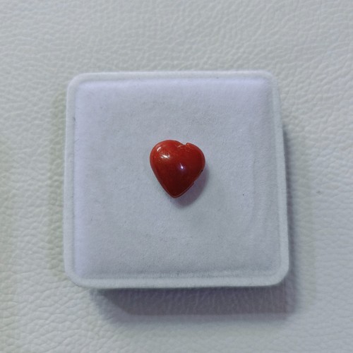 Cabochon corail rouge 100 - , %