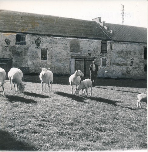 Civieres 1950 la bergerie - c.,