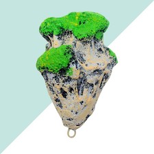  Cailloux Pour Aquarium Pierre