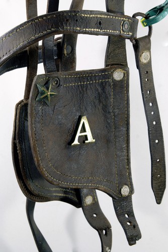 Ancienne bride cheval de - ,