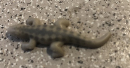Playmobil bébé crocodile - , ou
