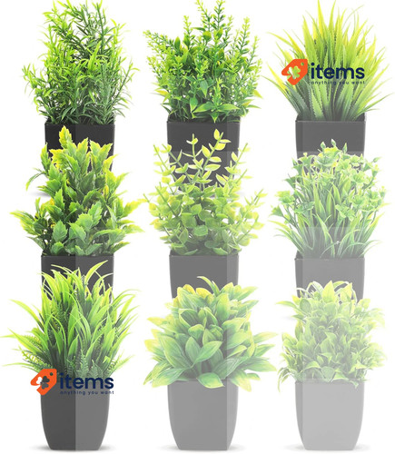 Zenfun lot plantes - de, 9
