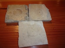 carreau ancien terre cuite 15