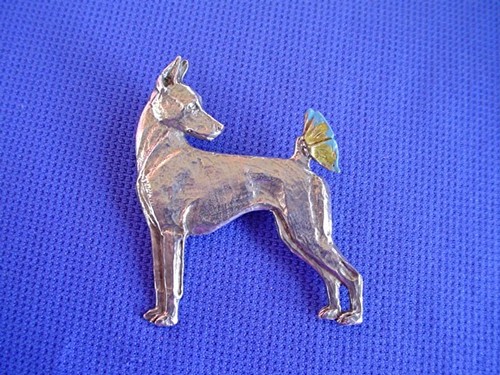 Minature pinscher butterfly - minature,