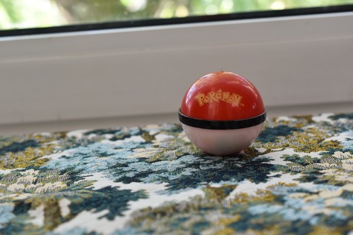 Pokeball avec tygnon be - 1,