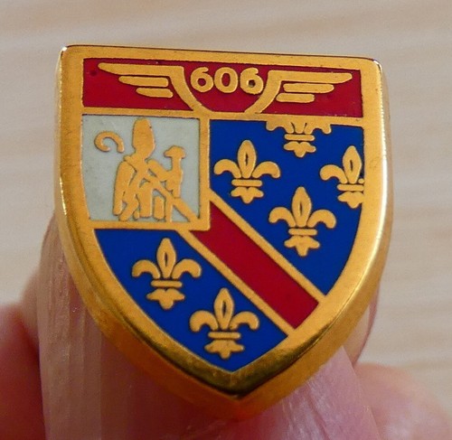 Beau petit pin - beau, pin's