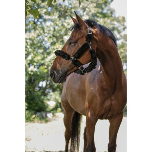 Licol norton full mouton - licol, "full