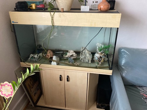 Aquarium avec meuble plus tous - plus,