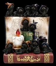 Chats Affichage Set - Coven