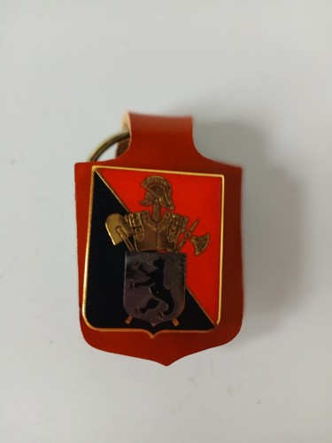 Insigne 110 section du - insigne,