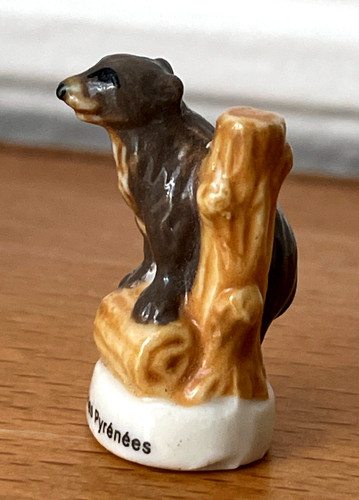 Fève ours brun des - ours,