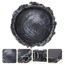  Bol D'eau Pour Reptiles De