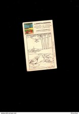 image illustration BENJAMIN RABIER LE SIROP DE GAÏARSOL Chromo publicitaire LABO