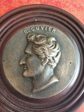 MEDAILLON BRONZE de CUVIER -