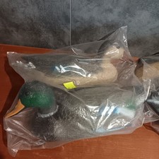 Appelant Canards Col Vert