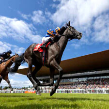 METHODE de TURF: MULTIPRO de