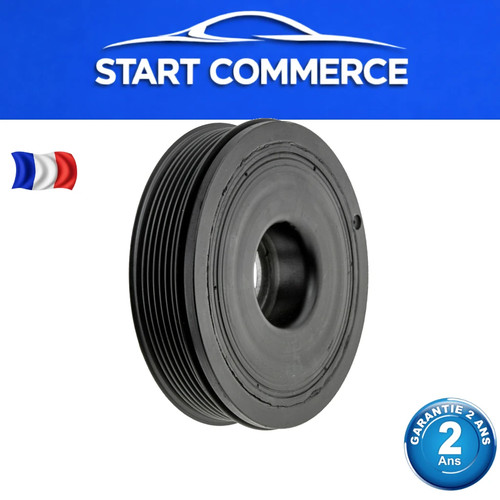 Poulie damper scenic - poulie,