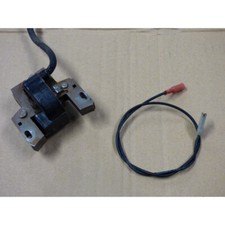 BOBINE ALLUMAGE - MOTEUR BRIGGS & STRATTON 10.5 I/C OHV (1)