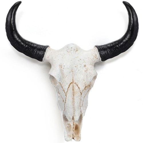 Crâne vache en résine - crâne,